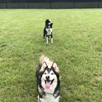 David J Stricker Dog Park - Dog Parks Near Me - Batavia, Ohio