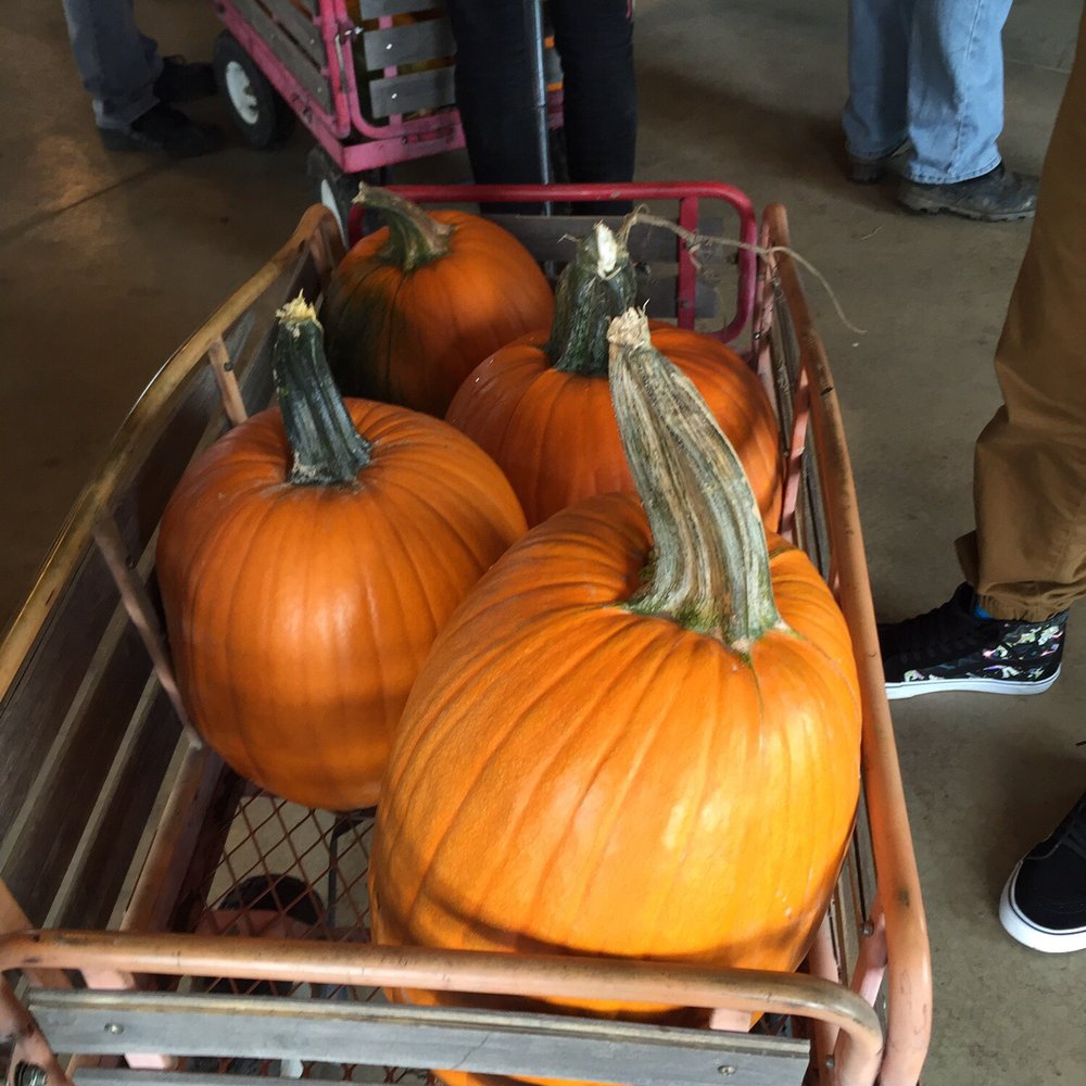 Eleven Acres Farm - Farmers Market Near Me - Mead, Washington Eleven Acres Farm - Farmers Market Near Me - Mead, Washington