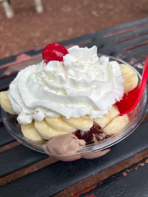 Bruster's Real Ice Cream