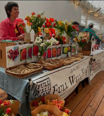 Greylock WORKS by null