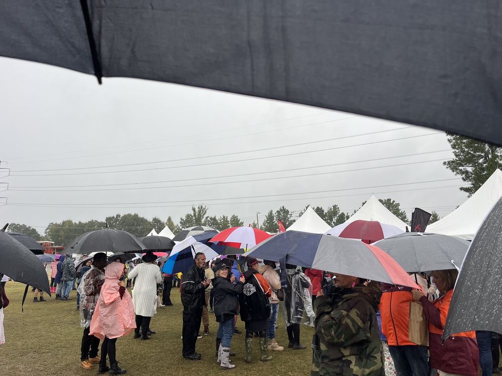 Chesapeake Virginia Wine Festival - vineyard in Chesapeake, VA