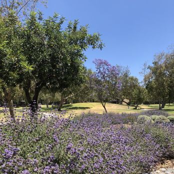 Brace Canyon Park - Flowers and view from the parking lot. - Parks Near Me - Burbank, California