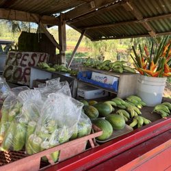 Nozawa's Fresh Kahuku Corn - $10 bags of corn and apple bananas