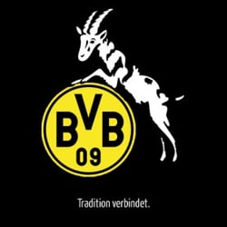 Fan-Projekt 1. FC Köln 91 e.V.