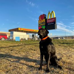 Hunter approved.