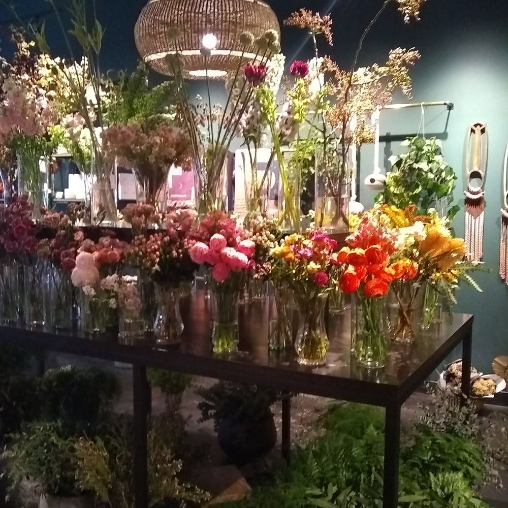 Asrai Garden - Florists Near Me - Chicago, Illinois Asrai Garden - Florists Near Me - Chicago, Illinois