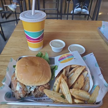 PLNT Burger - New Crispy Fun Guy Chicken Sandwich, which tastes slightly similar to calamari. Definitely recommend giving it a try! - Vegan Near Me - Silver Spring, Maryland PLNT Burger - New Crispy Fun Guy Chicken Sandwich, which tastes slightly similar to calamari. Definitely recommend giving it a try! - Vegan Near Me - Silver Spring, Maryland