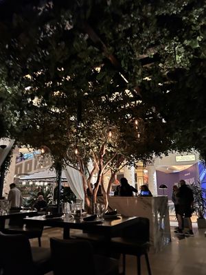 RPM Italian Las Vegas by null