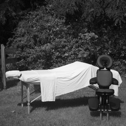 On the Spot Wellness Wagon - Table and Chair Massage Available
