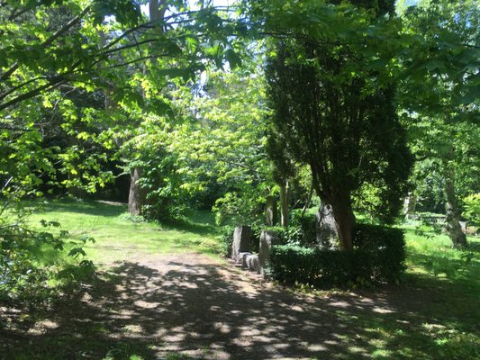Assistens Cemetery by null