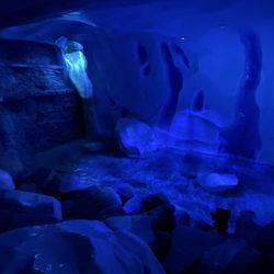 Museum of Natural History and Science - Ice Age Exhibit