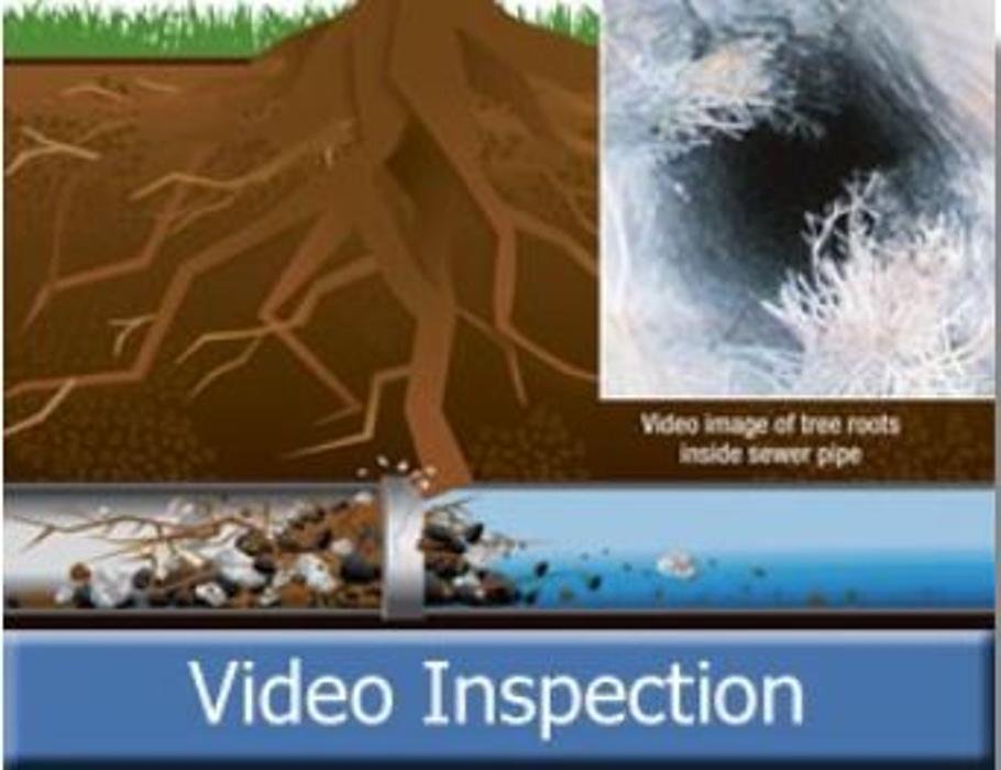 Slide of Clog Master