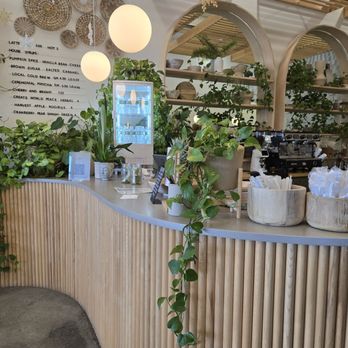 Fruit Loop - The image shows the interior of a cafe with a curved wooden counter made of vertical wooden slats. Several potted plants are placed on the counter and shelves, adding greenery to the space. Behind the counter, there is a menu board listing drinks and flavors, and a refrigerated display case. A coffee machine is visible in the background, along with additional wooden shelves holding decorative items and plants. The ceiling has a wooden slat design with hanging spherical lights, creating a cozy atmosphere. - Juice Bars & Smoothies Near Me - Latham, New York