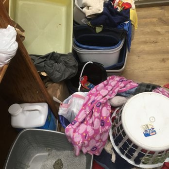 Cat Sitting Hotels - Pet Sitting Near Me - Seattle, Washington