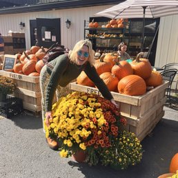 Giant mums!