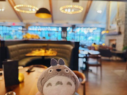 Saints + Council by null Saints + Council by null