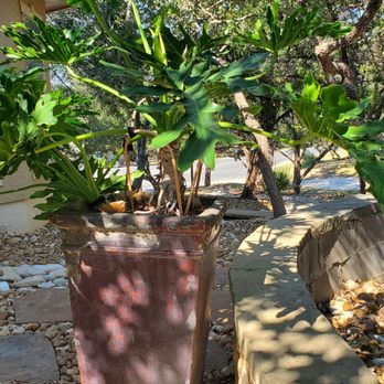 Just Pots - Another Just Pots creation. - Home & Garden Near Me - San Antonio, Texas Just Pots - Another Just Pots creation. - Home & Garden Near Me - San Antonio, Texas
