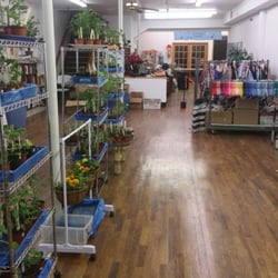 Weed Mercantile Mall