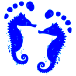 Barefoot Pool Service - Barefoot Pool Service, Your #1 Outer Banks Pool Company