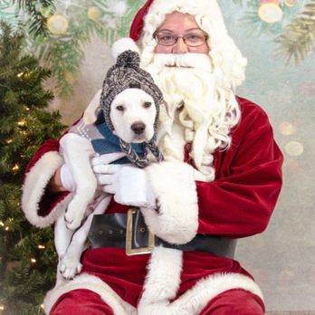 Hope Safehouse - Animal Shelters Near Me - Racine, Wisconsin Hope Safehouse - Animal Shelters Near Me - Racine, Wisconsin