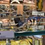 Photo of Moscot