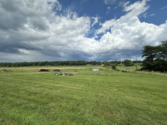 Ravines Wine Cellars by null