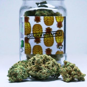 420 Carpenter - Cannabis Dispensaries Near Me - Lacey, Washington 420 Carpenter - Cannabis Dispensaries Near Me - Lacey, Washington