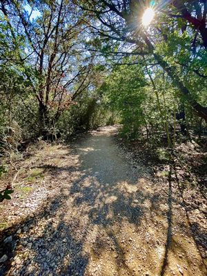 Sculpture Falls by null