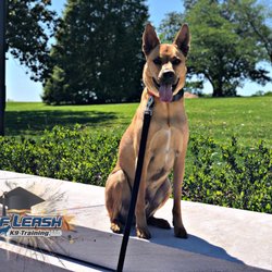 appalachian k9 training center