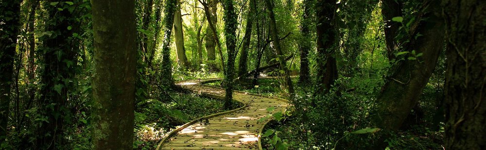 Vosburg Counseling - grief counselor in Columbia, SC