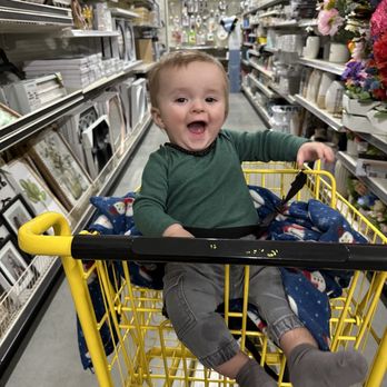 Dollar General - a baby sitting in a shopping cart - Grocery Near Me - Sagle, Idaho Dollar General - a baby sitting in a shopping cart - Grocery Near Me - Sagle, Idaho