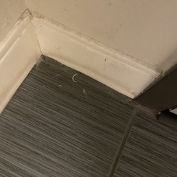 First room...Toenails and filth. GROSS. First room...Toenails and filth. GROSS.