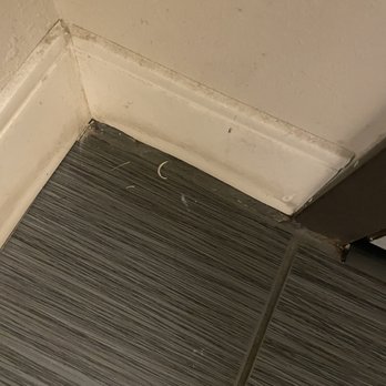 Hampton Inn & Suites Roanoke-Downtown - First room...Toenails and filth. GROSS. - Hotels Near Me - Roanoke, Virginia Hampton Inn & Suites Roanoke-Downtown - First room...Toenails and filth. GROSS. - Hotels Near Me - Roanoke, Virginia