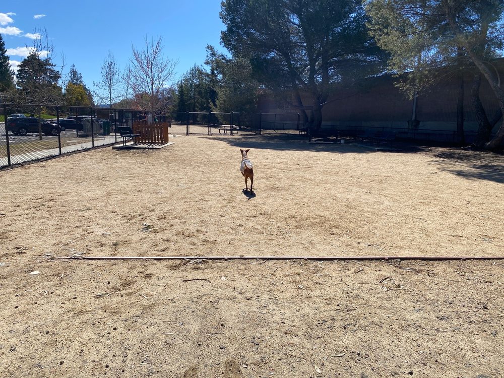 MARY AVENUE DOG PARK Updated August 2024 21 Photos & 15 Reviews