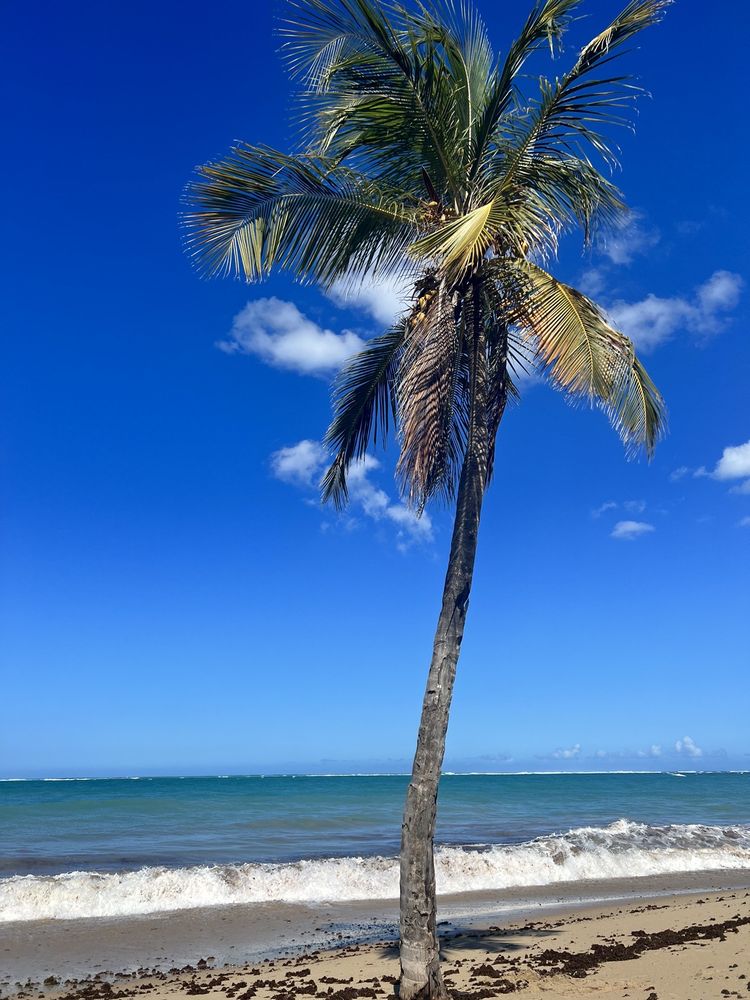 Barbosa City Park Image