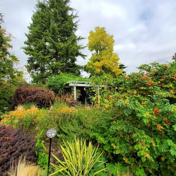 Bellevue Botanical Garden - Botanical Gardens Near Me - Bellevue, Washington Bellevue Botanical Garden - Botanical Gardens Near Me - Bellevue, Washington