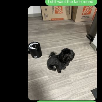 Dogi's Mobile Grooming - Pet Groomers Near Me Dogi's Mobile Grooming - Pet Groomers Near Me