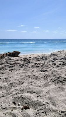 Blowing Rocks Preserve by null