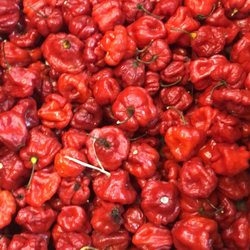 Little Jalisco Market