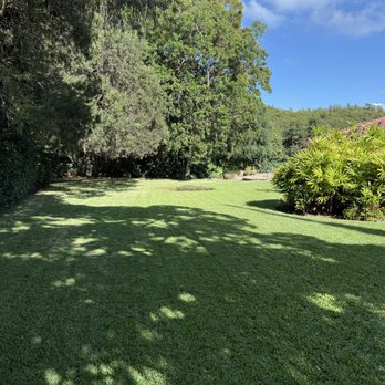 Affordable Yard Services - Lawn Services Near Me Affordable Yard Services - Lawn Services Near Me