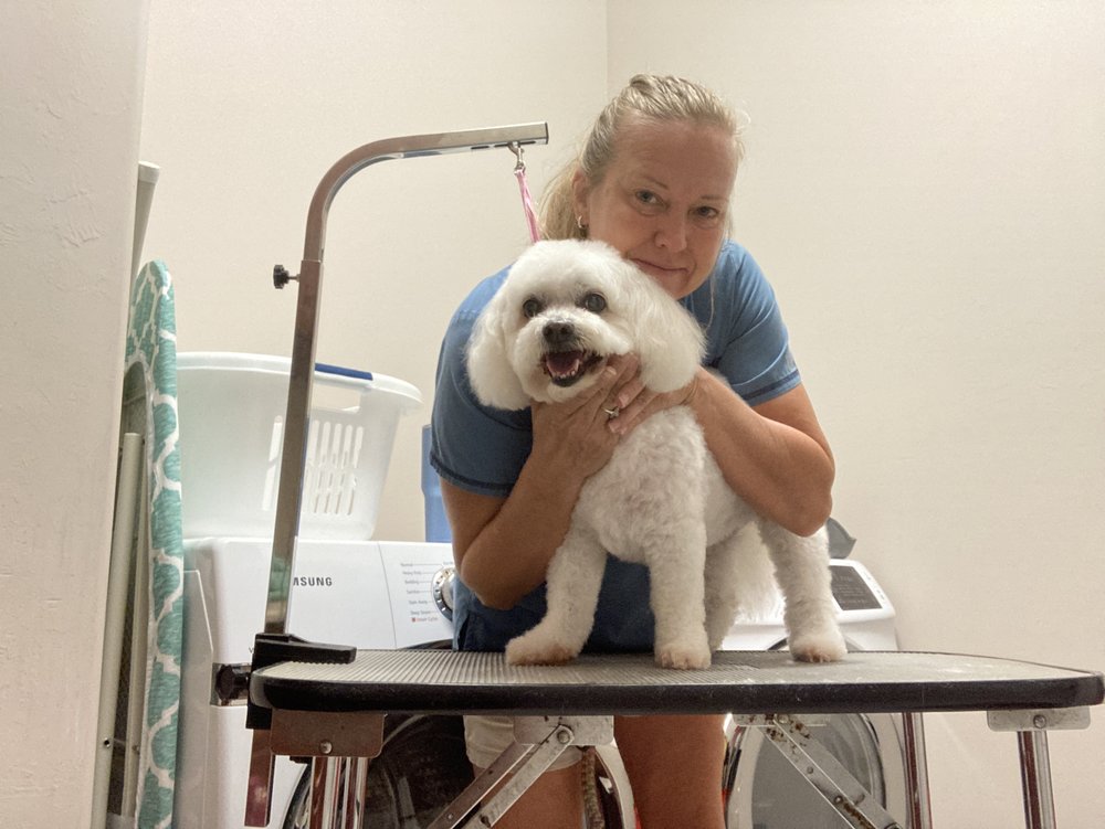 A1 DOG GROOMING SCHOOL Updated April 2024 Fort Myers, Florida Pet