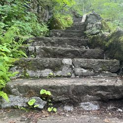 Clark Reservation State Park - Trail (many steps, some trails are more accessible)