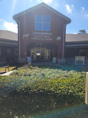 Charleston Animal Society by null