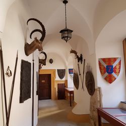 Schloss Greifenstein - Waffen und Trophäen