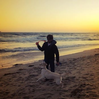 Susana Labradors - Whiskey at the beach "Retrieving" with his owner. Vito F. - Pet Groomers Near Me - Simi Valley, California Susana Labradors - Whiskey at the beach "Retrieving" with his owner. Vito F. - Pet Groomers Near Me - Simi Valley, California