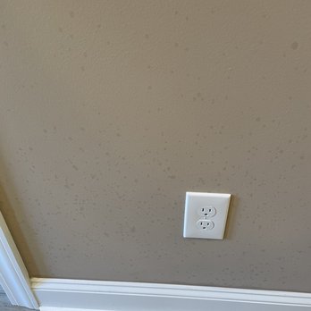 Boss Optima - Carpet Cleaning Near Me