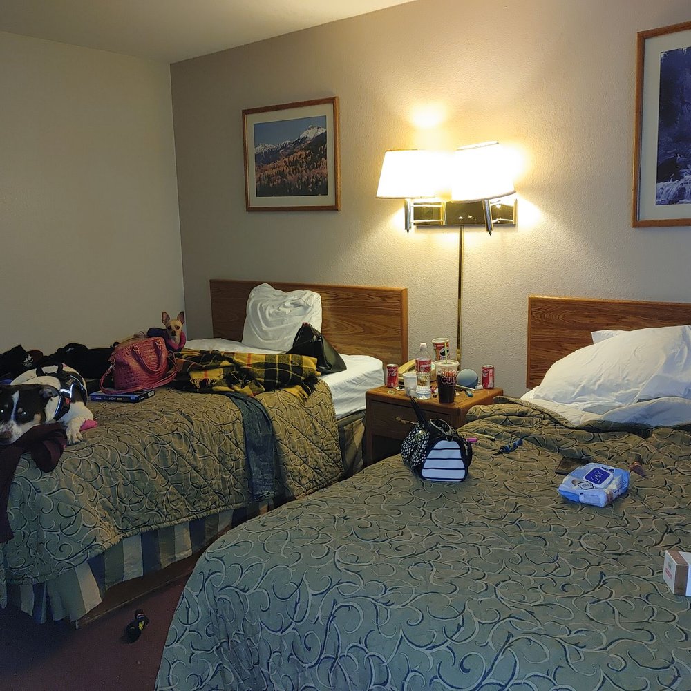 Cozy Inn - Hotels Near Me - Cortez, Colorado Cozy Inn - Hotels Near Me - Cortez, Colorado