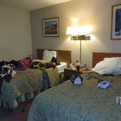 Cozy Inn