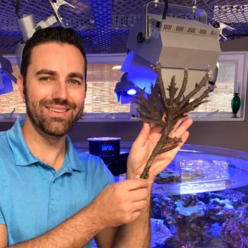 The Happy Fish - Aquarium Services Near Me - Chandler, Arizona The Happy Fish - Aquarium Services Near Me - Chandler, Arizona