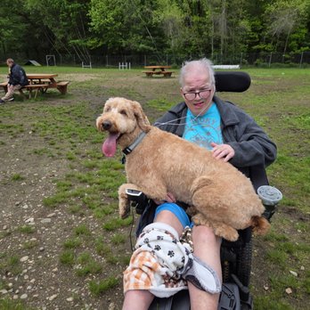 Wendy's Lucky Paws - Gronk at the dog park with his daddy after his summer cut. - Pet Groomers Near Me - Seabrook, New Hampshire Wendy's Lucky Paws - Gronk at the dog park with his daddy after his summer cut. - Pet Groomers Near Me - Seabrook, New Hampshire